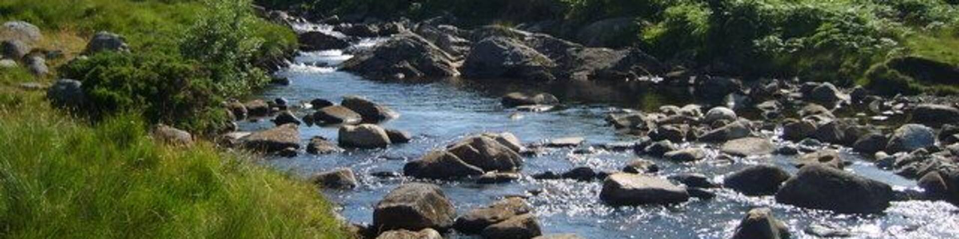 Whillan Beck Large Beck, just above Gill Bank