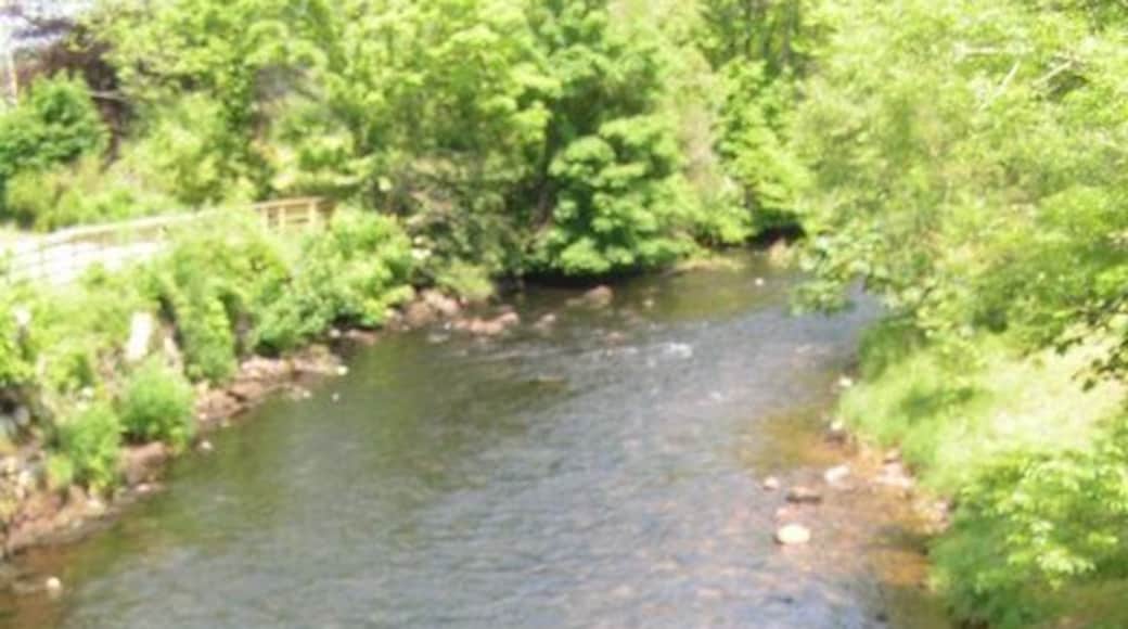 R. Irt from Santon Bridge