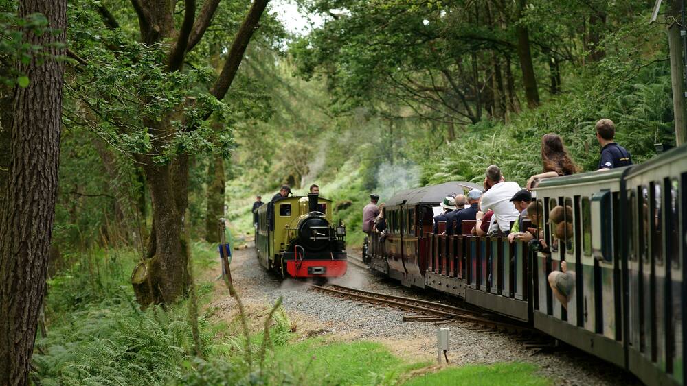 A miniature train traveling through a forested area with passengers.