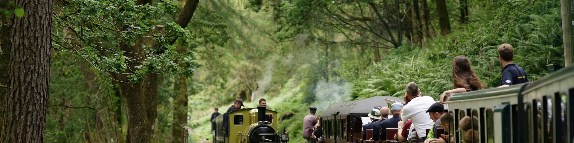 The passing loop, on the Ravenglass & Eskdale Railway, close to the Fisherground halt.