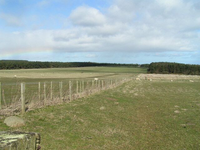 Cross Hill from Wandylaw View NNW from the footpath west of Wandylaw Farm to the low summit of Cross Hill (with a peculiar broad, shallow and indistinct rainbow).