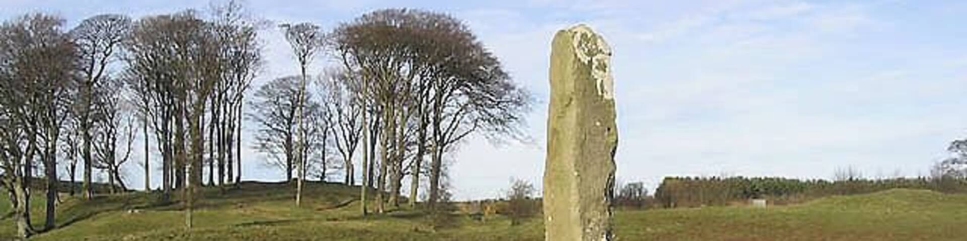 Village "Cross" at North Charlton On the other side of a wall in a horse field near North Charlton Farm. This was the market cross at the centre of a medieval village, the outline of some of the houses can still be located. The village had a population of over 200 and a Chapel, the site of which is also in this picture (The wood to the left of the picture is Castle Wood - apparently the site of the chapel. Although the alignment of the ruins is wrong for a religious building.) This field cannot be anything other than pasture, because the area next to the burn (Out of sight because of the steep embankment approximately 20 - 30 metres north of the cross) was the village burial ground. (The graves are quite shallow.) Combined with the status of this field as a scheduled ancient monument because of its rich archaeological content makes cropping of any kind impossible. For further information on this site contact Andy Stuart https://www.geograph.org.uk/usermsg.php?to=13868