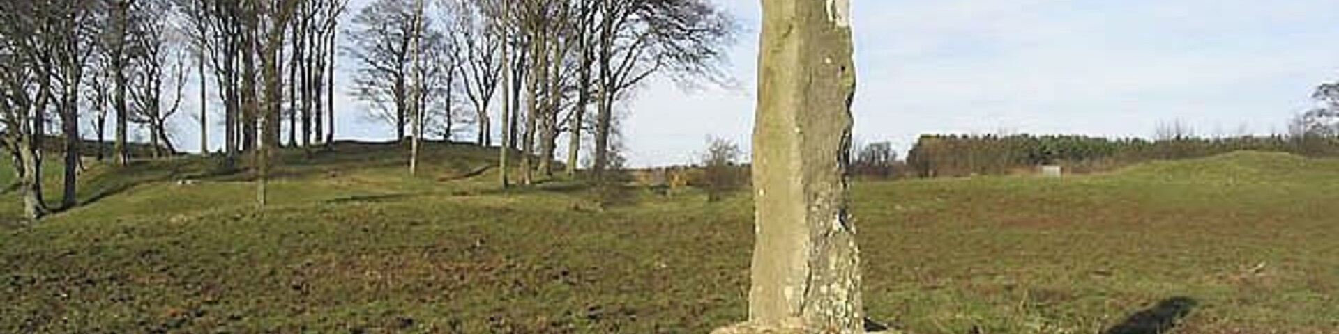Village "Cross" at North Charlton On the other side of a wall in a horse field near North Charlton Farm. This was the market cross at the centre of a medieval village, the outline of some of the houses can still be located. The village had a population of over 200 and a Chapel, the site of which is also in this picture (The wood to the left of the picture is Castle Wood - apparently the site of the chapel. Although the alignment of the ruins is wrong for a religious building.) This field cannot be anything other than pasture, because the area next to the burn (Out of sight because of the steep embankment approximately 20 - 30 metres north of the cross) was the village burial ground. (The graves are quite shallow.) Combined with the status of this field as a scheduled ancient monument because of its rich archaeological content makes cropping of any kind impossible. For further information on this site contact Andy Stuart https://www.geograph.org.uk/usermsg.php?to=13868