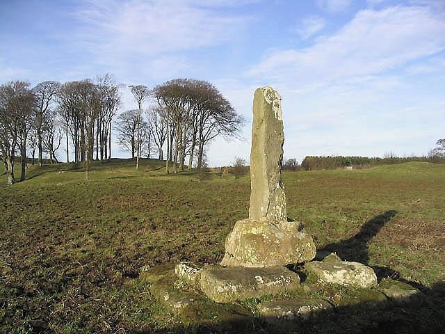 A standing stone in a grassy field with trees in the background.