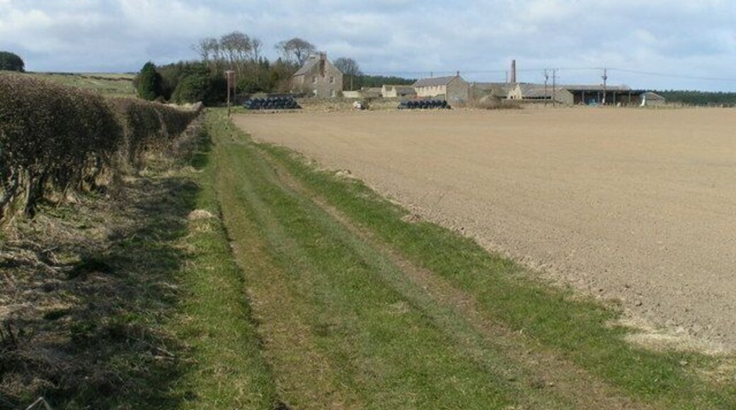Wandylaw Farm From the footpath to the east; the 1940s map has "Windy Law". Note the chimney, a common feature of farms in this area.