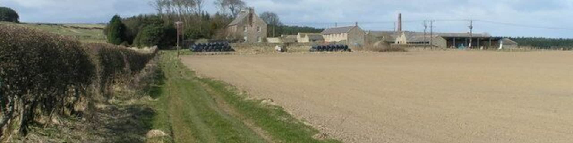 Wandylaw Farm From the footpath to the east; the 1940s map has "Windy Law". Note the chimney, a common feature of farms in this area.