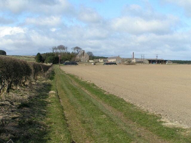 A rural landscape with a dirt path, fields, and farm buildings.