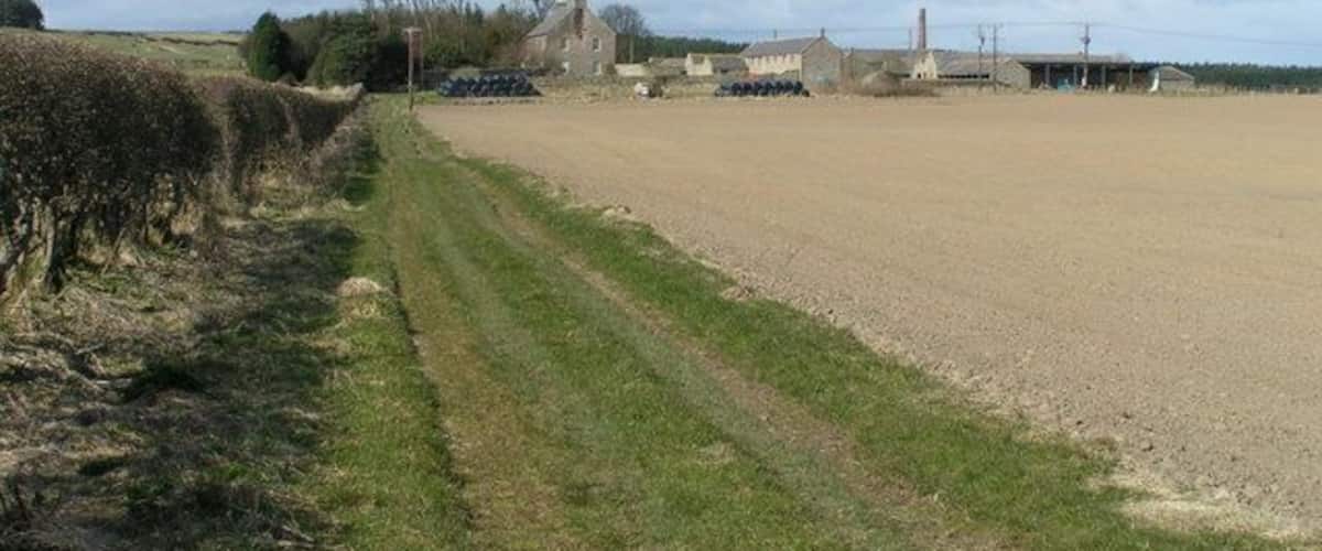 A rural landscape with a dirt path, fields, and farm buildings.