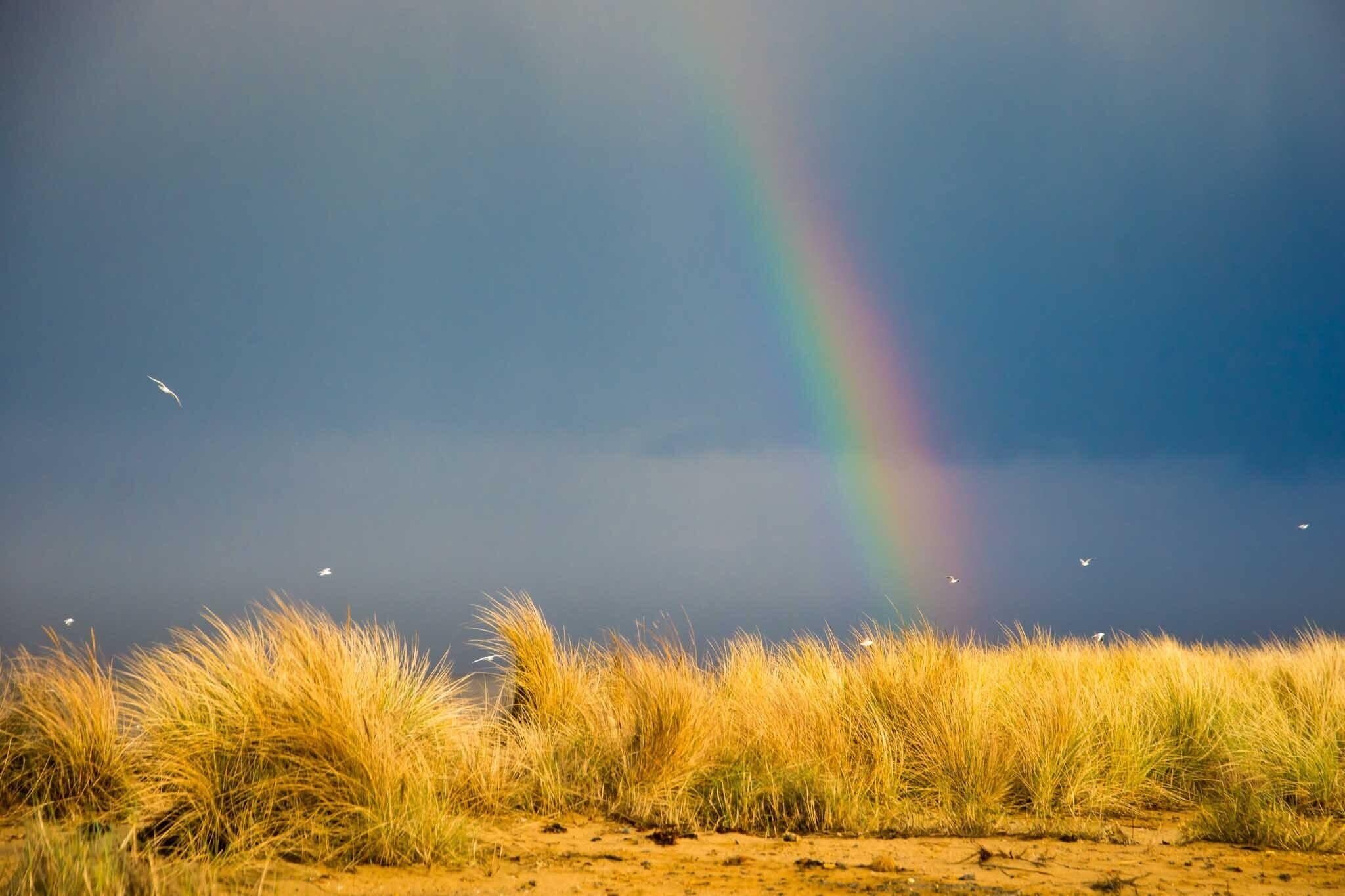 Distrito de Tendring