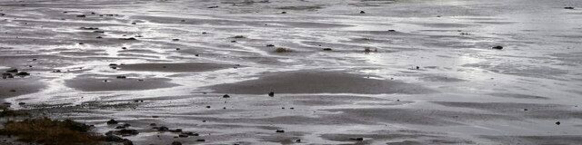 Budle Bay The southernmost part of the bay, where the Waren Burn enters.