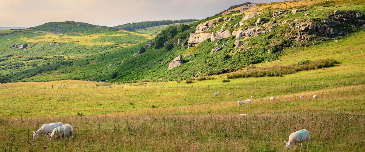Sheep below Raven's Crag. Raven's Crag and Bowden Doors are two crag rock formations in north Northumberland in North East England, near Belford, designated as a SSSI and are popular with rock climber