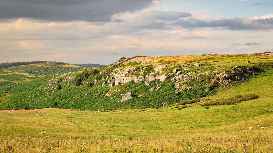 A grassy hillside with sheep grazing, rocky outcrops, and a cloudy sky.