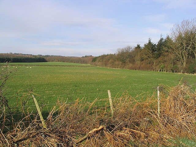 Pasture field To the north of Kettleburn. Viewed from a minor road near Park Wood Cottage.