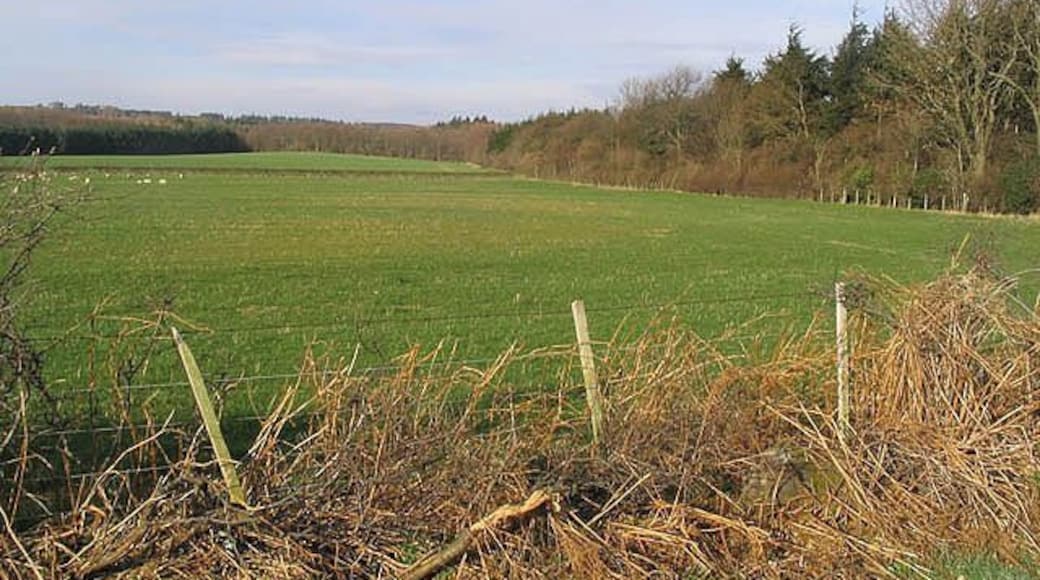 Pasture field To the north of Kettleburn. Viewed from a minor road near Park Wood Cottage.