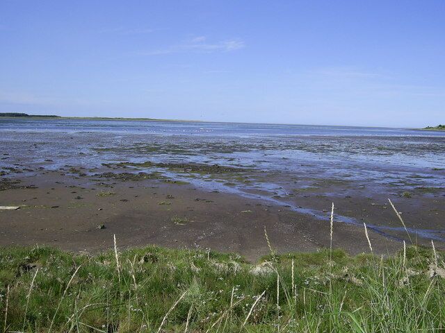 Budle bay