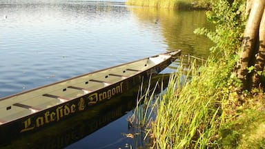 A wooden boat docked at a pier with the inscription "Latefide & Dragon."