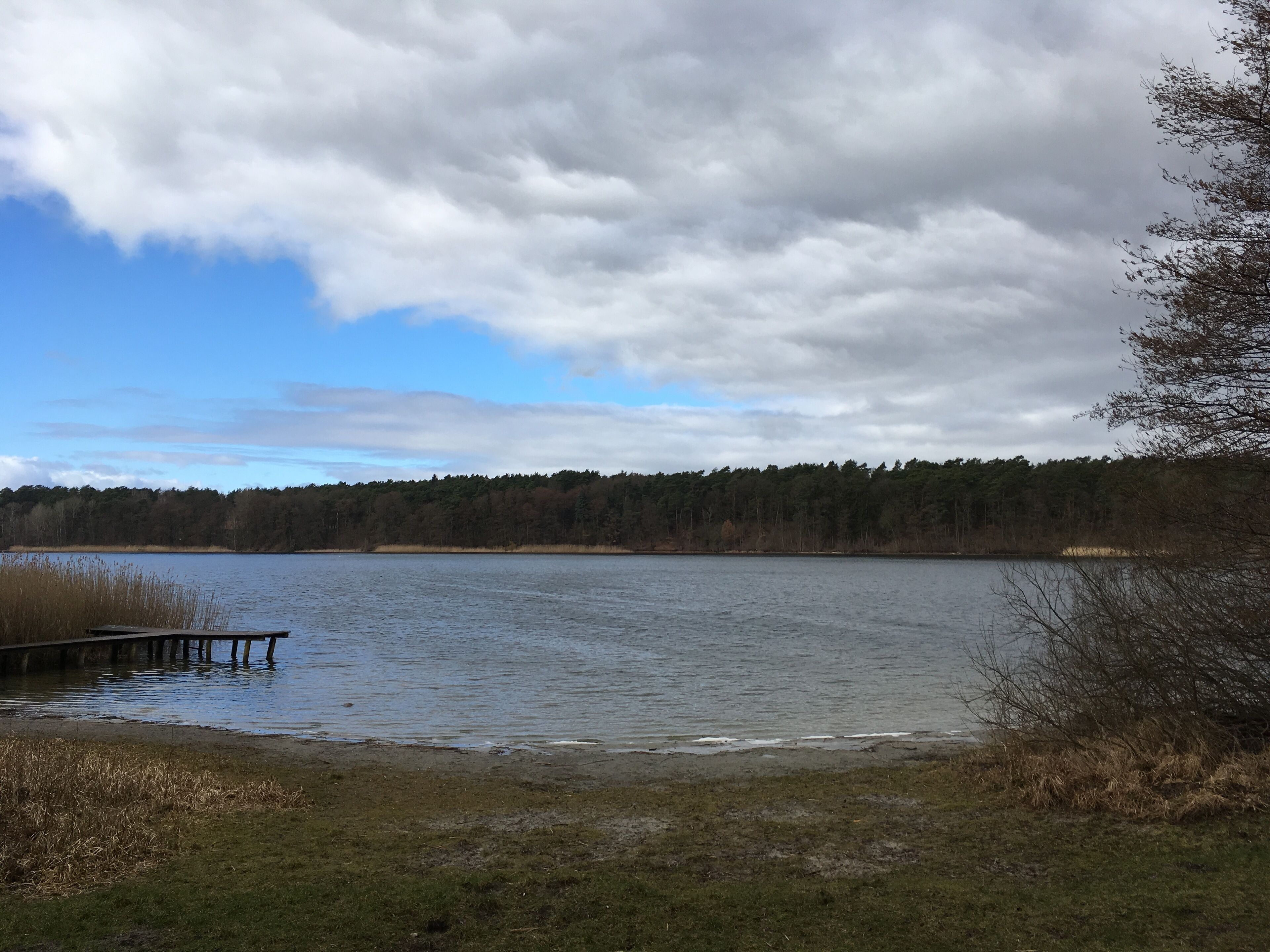 Straussee bei Strausberg. Um den See führt ein beschilderter Wanderweg, der auf 12 Tafeln die Geschichte der Stadt und des Sees erläutert.