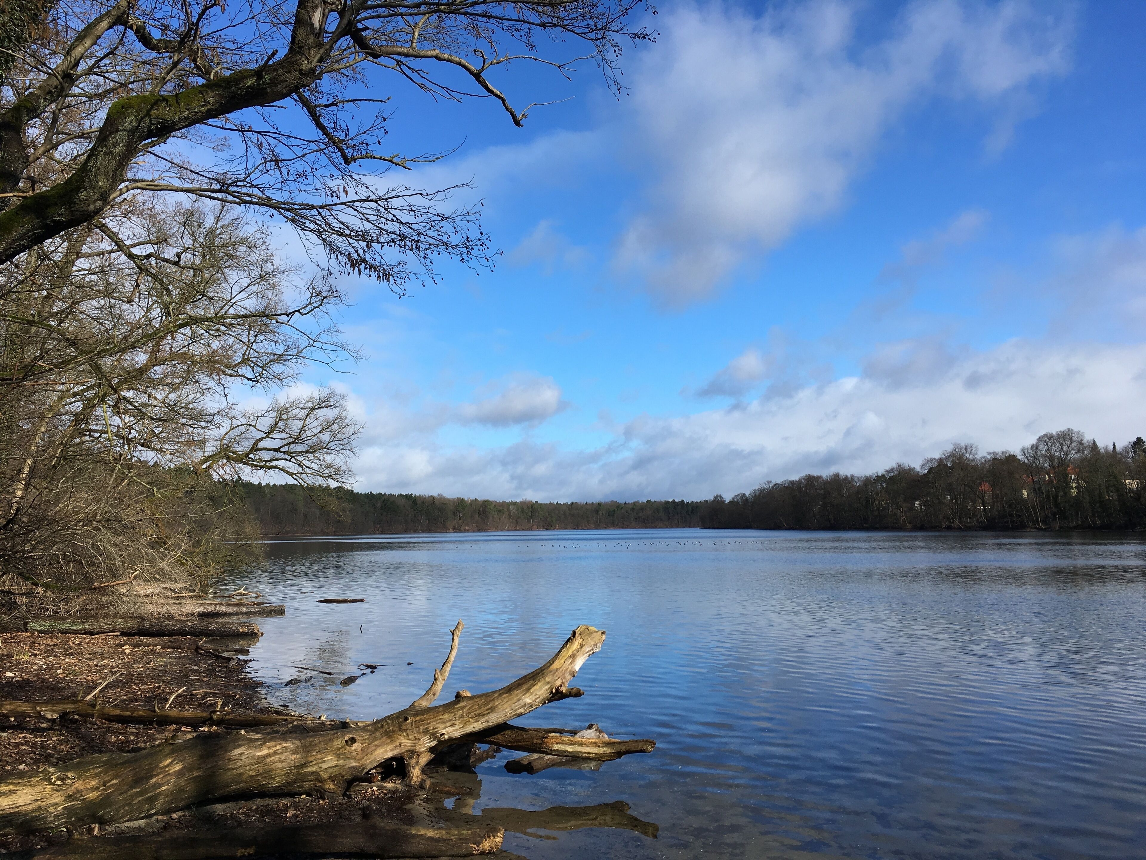 Straussee bei Strausberg. Um den See führt ein beschilderter Wanderweg, der auf 12 Tafeln die Geschichte der Stadt und des Sees erläutert.