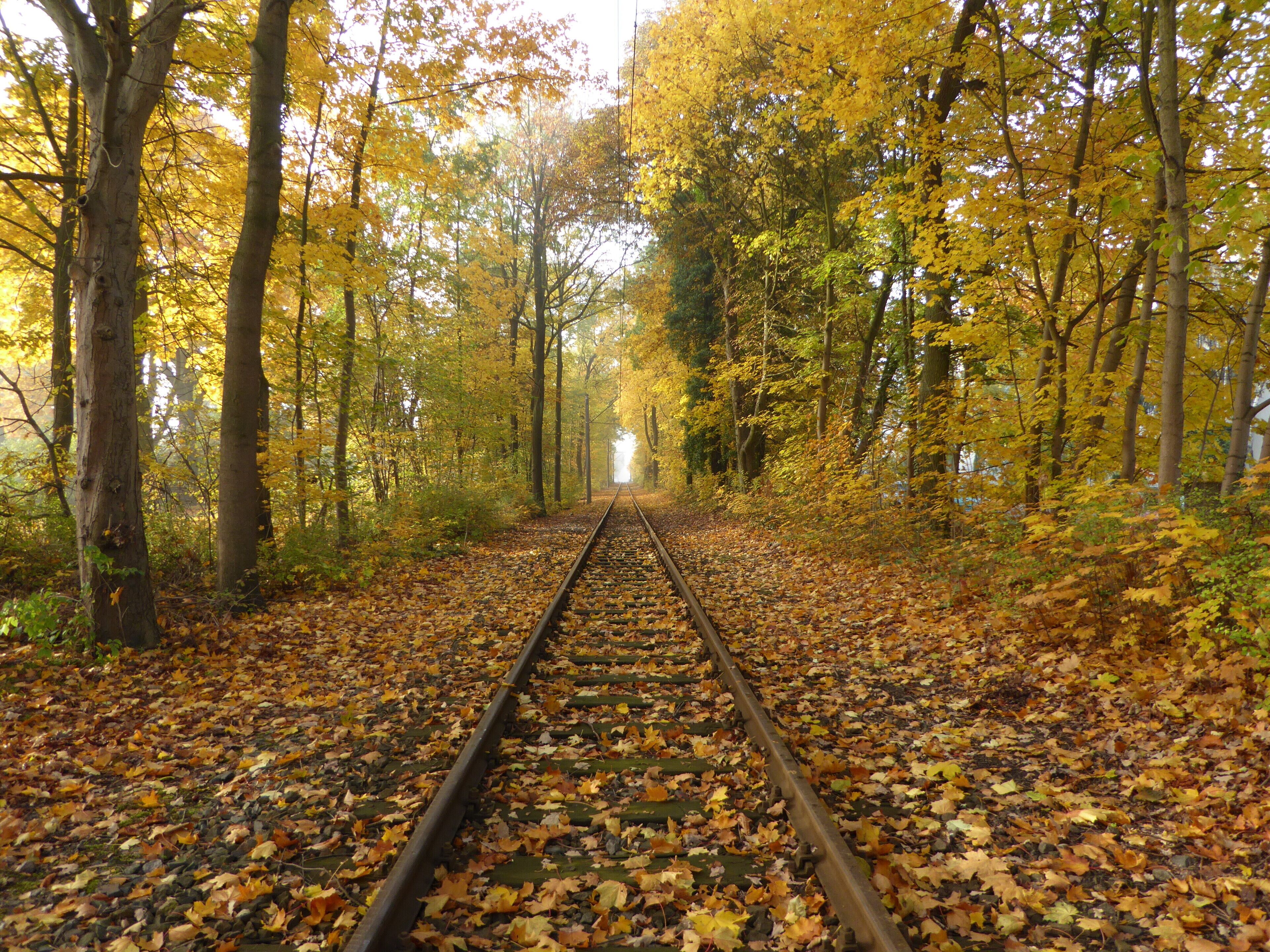 Strausberger Eisenbahn