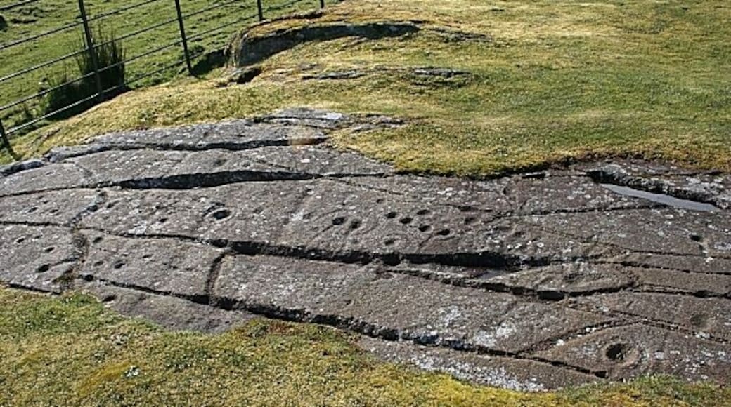 Cup-and-Ring-Marked Rock This is one of three rock surfaces in the immediate vicinity which have incised cup-and-ring marks. The shape formed by the long cracks on this one are sometimes described as a fish, but to me most of them look too deep to have been carved with the primitive tools of 5000 years ago. Perhaps a prehistoric carver also noticed the natural shape, and enhanced it by adding s few extra lines.