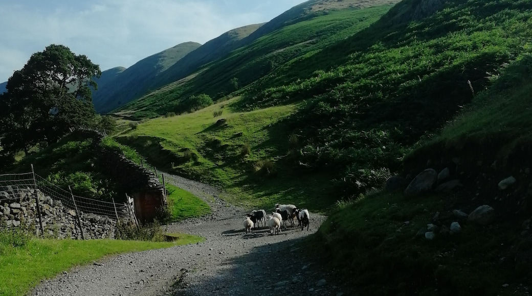 Troutbeck valley.
Morning jog