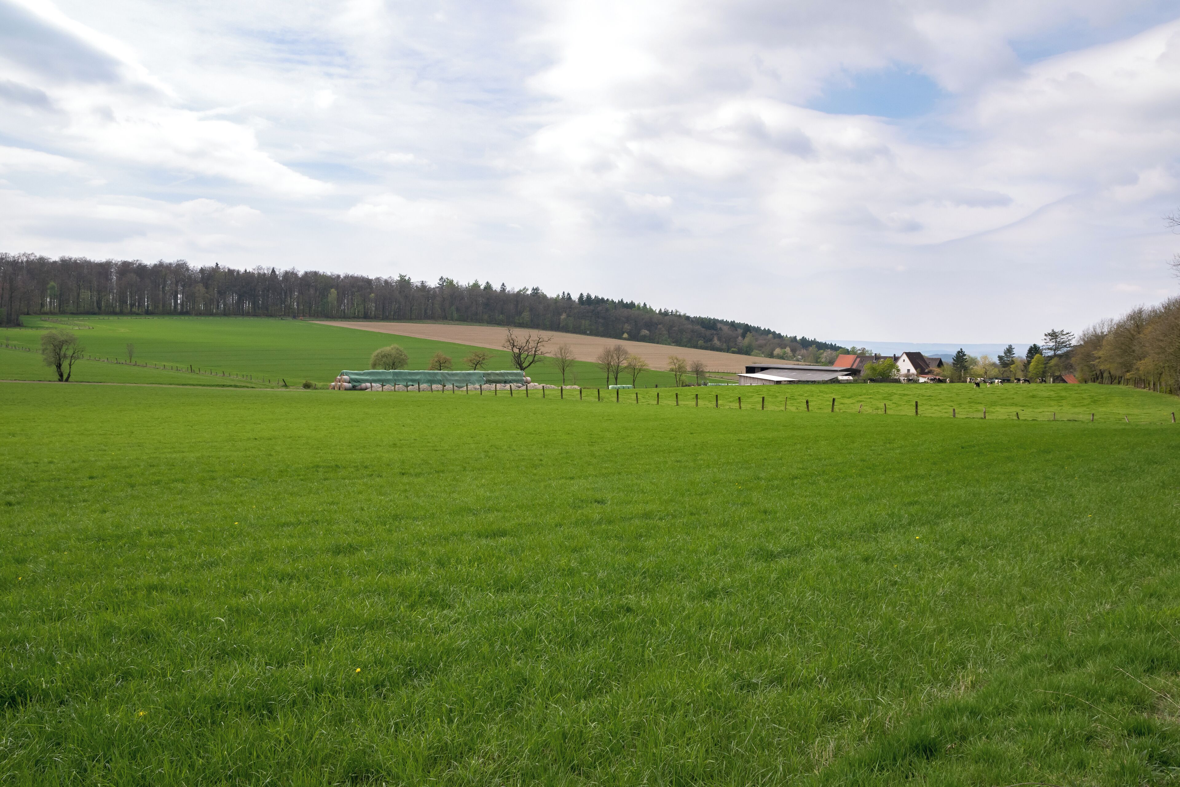 Hoffeld in Schwalenberg im LSG Lipper Bergland mit Steinheimer Becken, Blomberger Höhen, Sabbenhauser Mulde und Schwalenberger Höhen