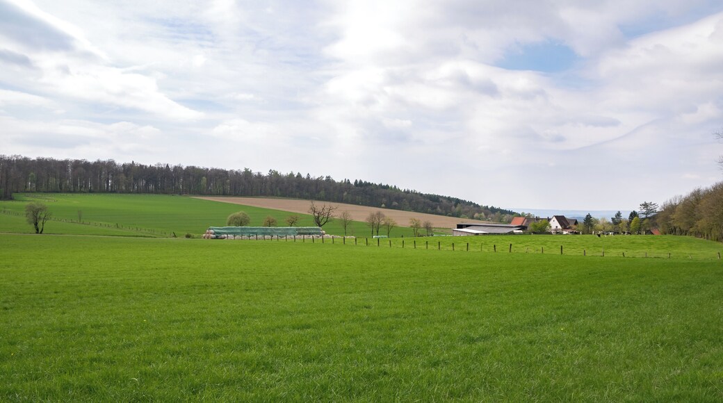 Hoffeld in Schwalenberg im LSG Lipper Bergland mit Steinheimer Becken, Blomberger Höhen, Sabbenhauser Mulde und Schwalenberger Höhen