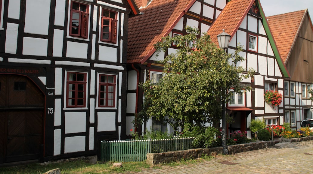 A traditional half-timbered house with a red-tiled roof, a tree in front, and a cobblestone street.