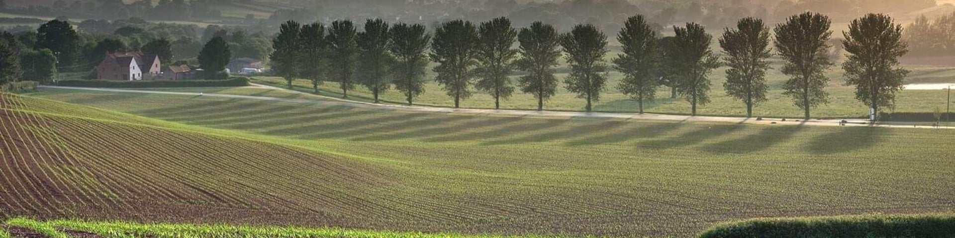 Views looking down at Quantock lakes
