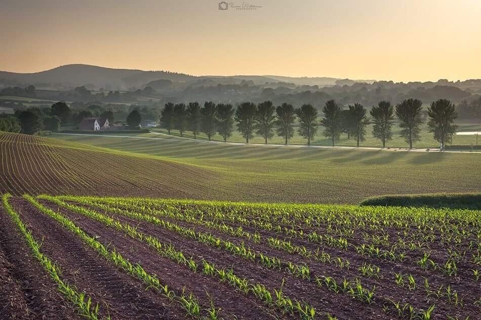 Beautiful views over the countryside at Quantock Lakes 