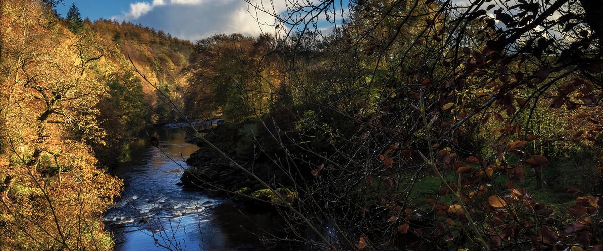 A river flowing through a forested area with autumn foliage.