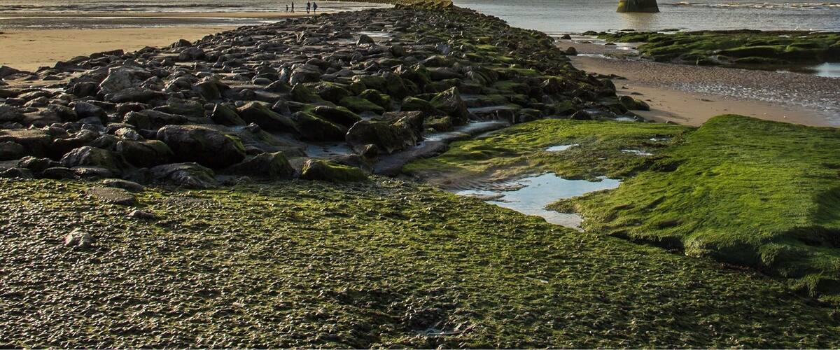 A beautiful spot looking at New Brighton lighthouse on the Wirral.