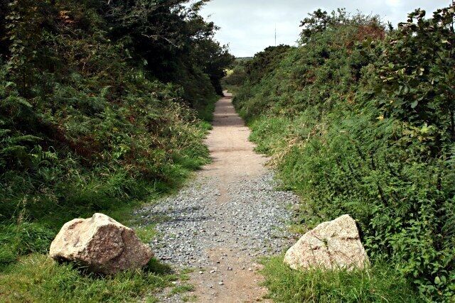 Bridleway near Lanner This bridleway used to be a tramway, probably built to serve the mines on the nearby hillside.