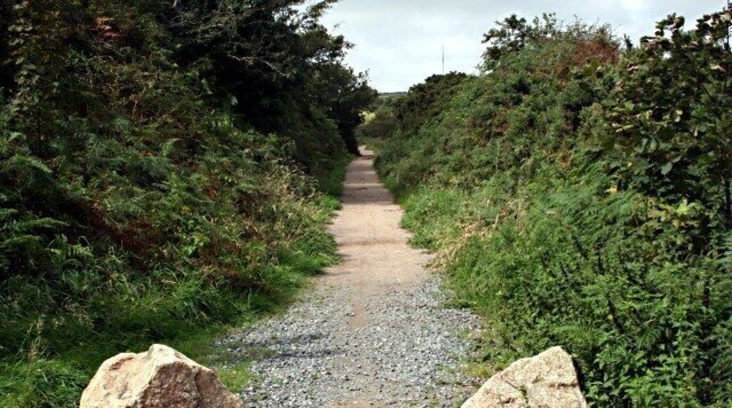 Bridleway near Lanner This bridleway used to be a tramway, probably built to serve the mines on the nearby hillside.