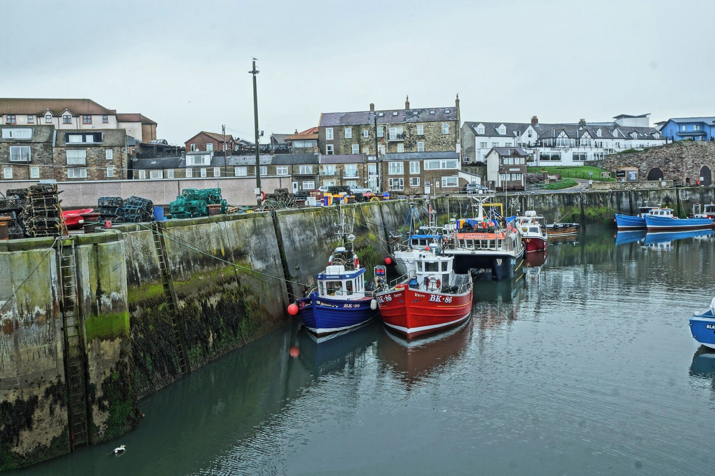 Seahouses harbour which has many boat trips to the Farne islands