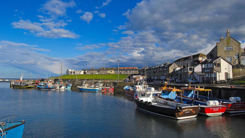 A harbor with several boats docked, a prominent building with a stone facade, and a hill with a castle in the background.