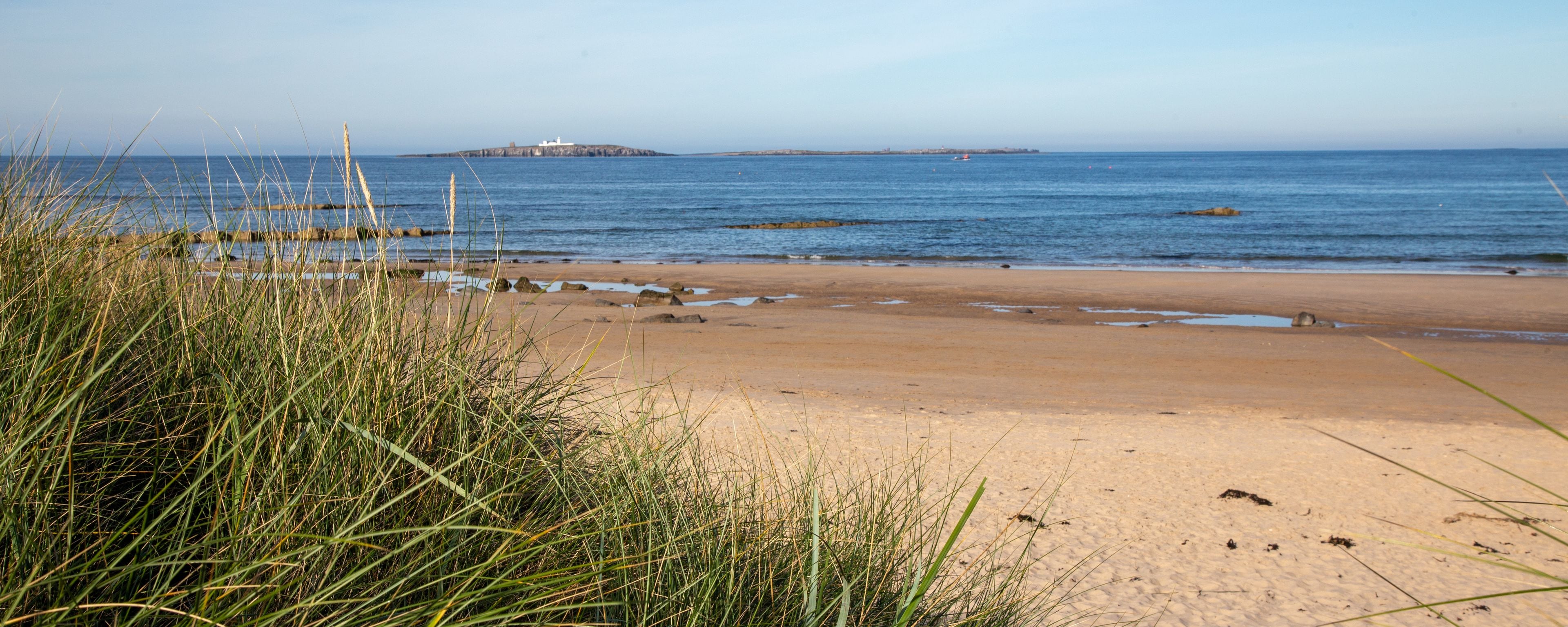 A beach with sand, grass, and a lighthouse in the distance.