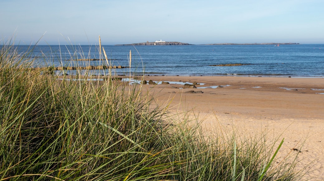 A beach with sand, grass, and a lighthouse in the distance.