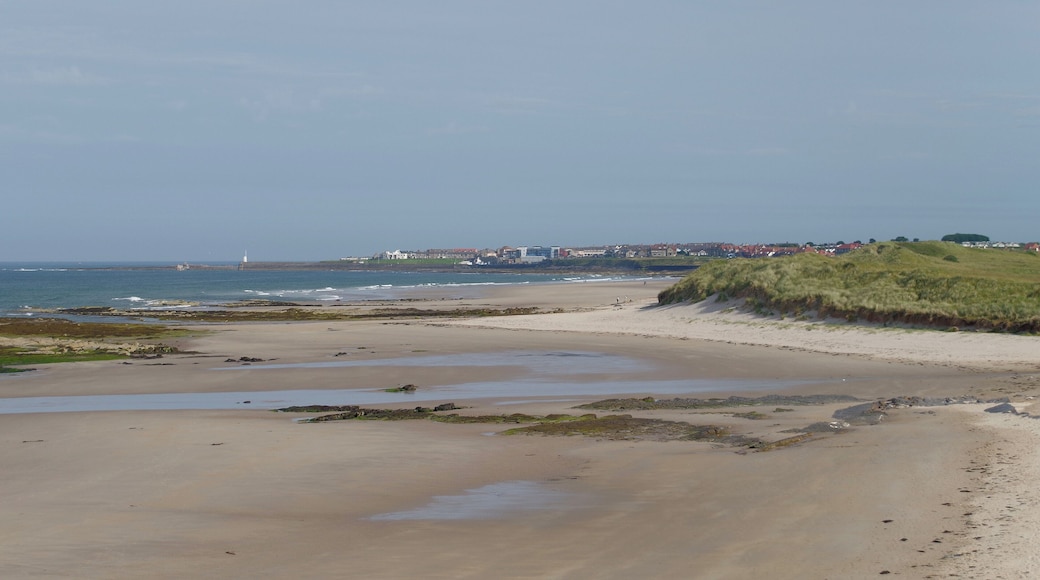 Looking over the beach at St Albans Dunes towards Seahouses.
