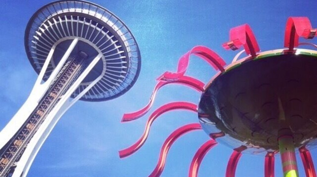 Going to the Space Needle in Seattle is Out of this World #patterns