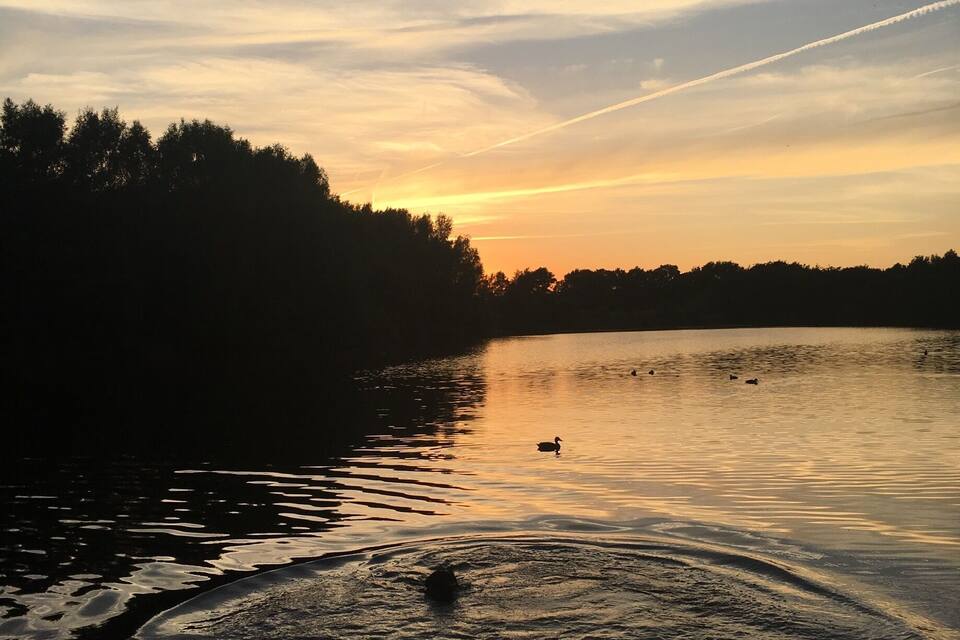 Pôr do sol sobre um lago calmo, com o silhueta de árvores à esquerda e um pássaro na água.
