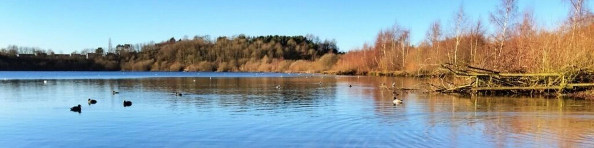 A calm lake with clear water, surrounded by trees and a distant hill.