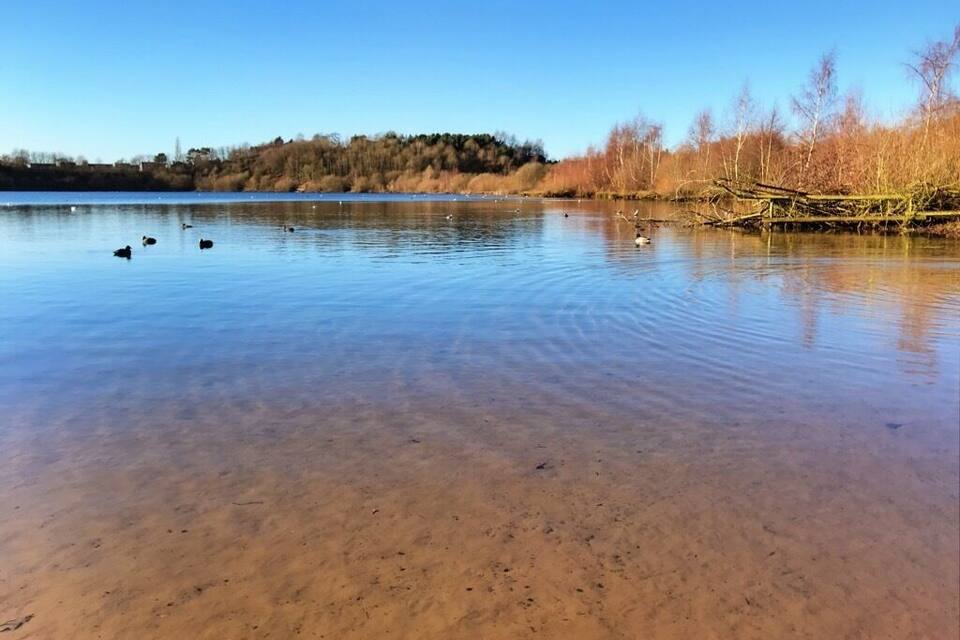 Um lago tranquilo com águas cristalinas, cercado por árvores e uma colina ao longe.