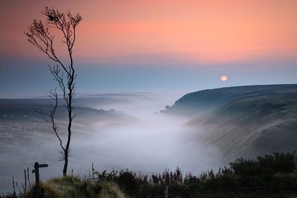 A sunset over a coastal landscape with a lone tree and a signpost.
