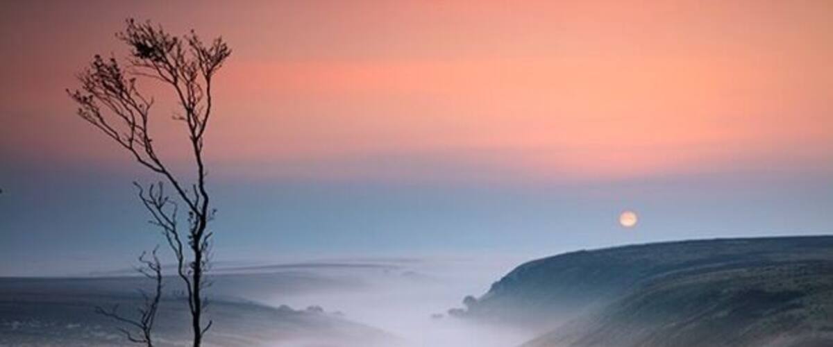 A sunset over a coastal landscape with a lone tree and a signpost.