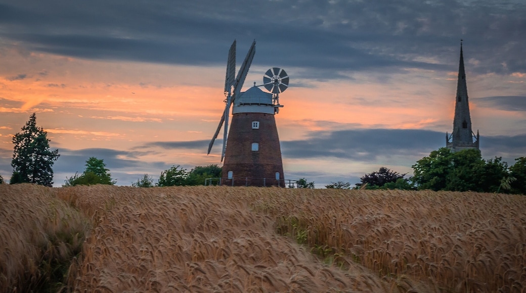 Lovely walk on local public pathway with fantastic views of Windmill known variously as John Webb's Mill or Lowe's Mill.
Thaxted Windmill is a grade II listed tower mill on the edge of the historic hilltop town of Thaxted, about 6 miles south east of Saffron Walden. The mill stands 48 feet high, and is made of red brick, with four wooden sails.
The mill was erected in 1804 on land owned by John Webb, a successful businessman who owned a number of properties locally, including a brick and tile work, and the local Swan Inn. There were 4 other mills in Thaxted at the time, but these were traditional post mills, whereas Webb's Mill was built to a tower design (a post mill rotates the entire body of the structure around a central column, while a tower mill rotates a moveable cap to which the sails are attatched).
The family of millers who worked the mill were the Lowe family, and so the building is sometimes referred to as Lowe's Mill. Interestingly, one of the recent leaders of the John Webb’s Windmill Trust that runs the mill is a direct descendent of the Lowe family.
The building material was local brick, fired just half a mile away, and there were 3 sets of millstones. The mill was in operation for just over a century, but by 1907 it was uneconomic to keep open. The advent of efficient steam engines made wind power less appealling and more costly.
#red #windmill #sunset #uk #britain #england