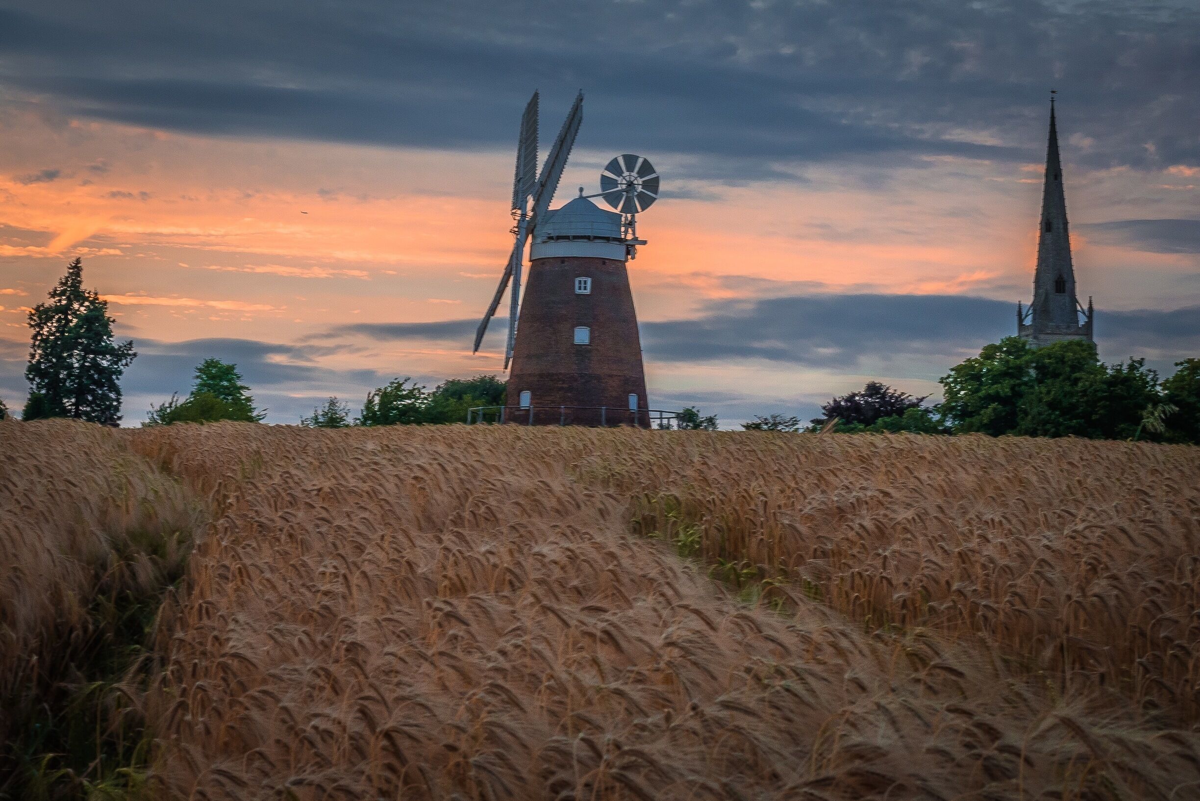 A windmill and a church tower in a wheat field.