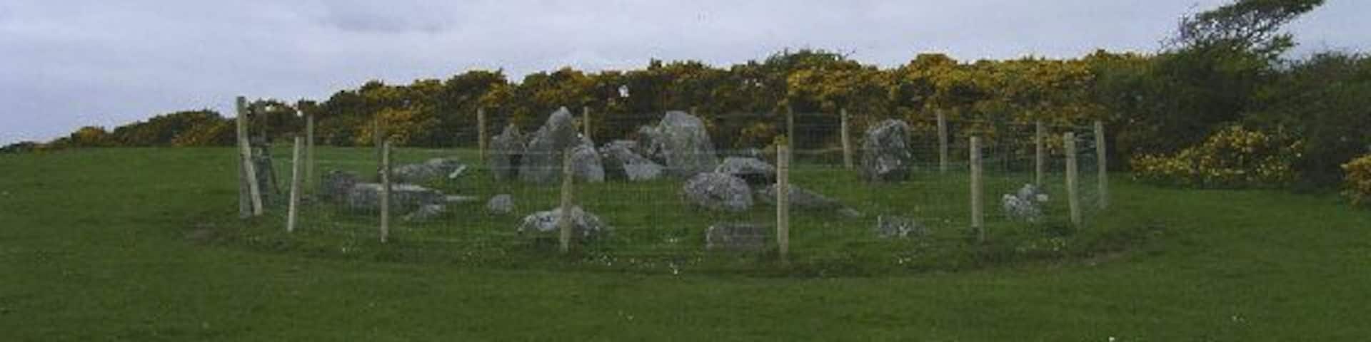 A stone circle surrounded by a fence in a grassy field with trees and yellow flowers in the background.