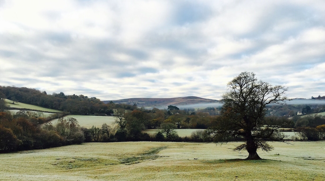 This place is dam amazing.