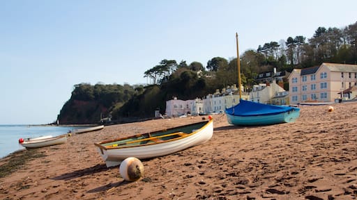 Shaldon